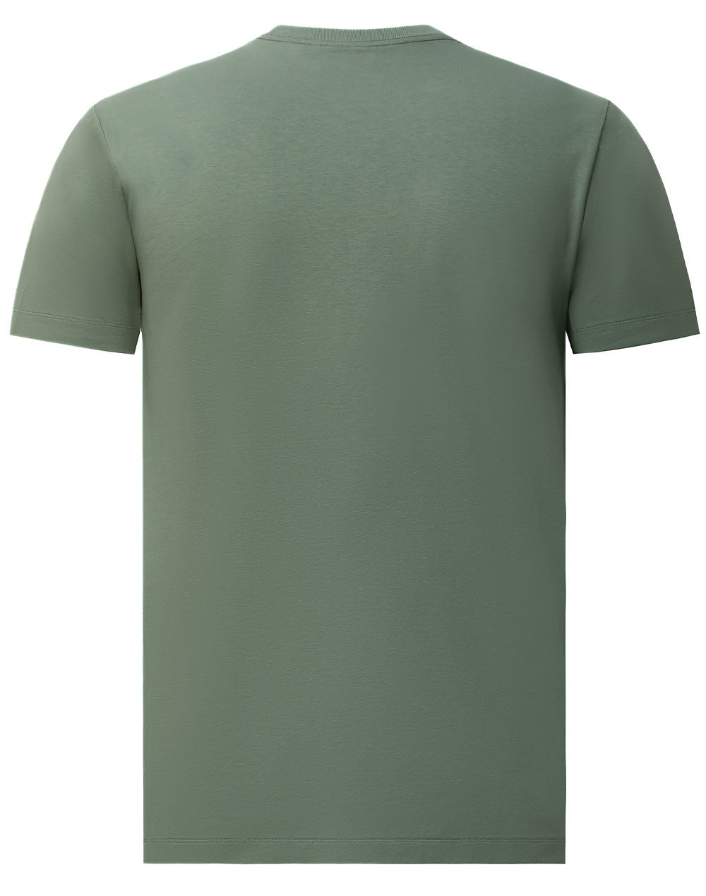 TS42 PREMIUM COTTON TEE SHIRT Ladies